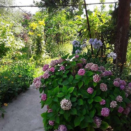 Zeleniy Dvorik Guest House New Athos 外观 照片