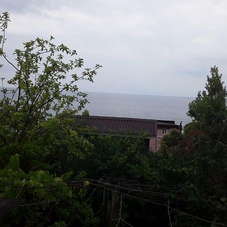Zeleniy Dvorik Guest House New Athos 外观 照片